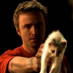 Jesse pinkman