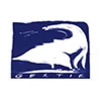 Nick Jr Face Tries Out Funny Ways to Talk