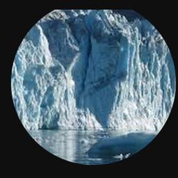 PolarDroid (BATTLE OF THE BRATS)