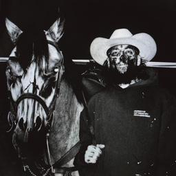 达里尔爵士official