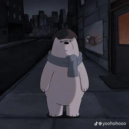 الدب القطبي