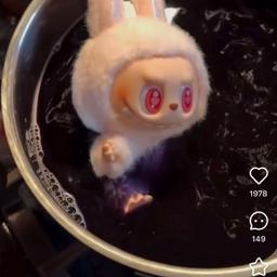 小红书最最最新