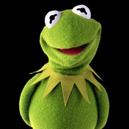 Kermit The Frog (yelling)