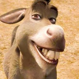 Burro de sherk
