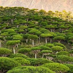 صوت ابن زهير 👋