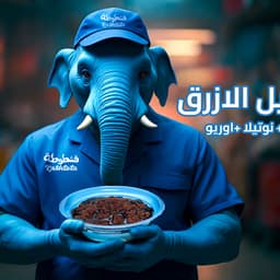 صوت الاعلانات 