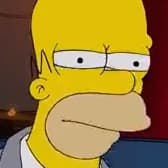 homer simpson