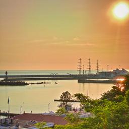 Дарья Захарова 