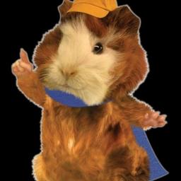 Linny The Guinea Pig (Wonder Pets)