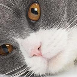 Voz mulher para anuncios