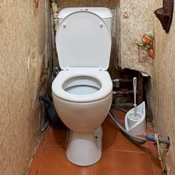 Гордей хочет какать