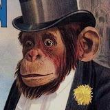 Elo Perdido (Gnose Games)