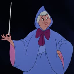 Cinderellas Fairy god mother