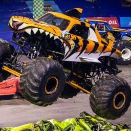 tiger shark (hot wheels monster trucks)