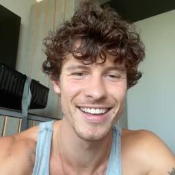 Shawn Mendes 