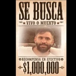 Narradora para profesora hotel