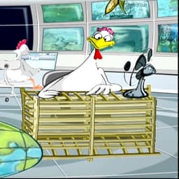 اعلان القاهرة والناس