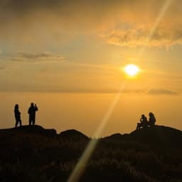 Сталкер + Макс17