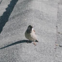 Postal Dude Rick Hunter