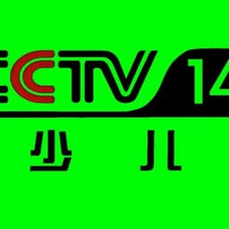 CCTV 武器解说1一