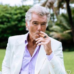 Pierce brosnan