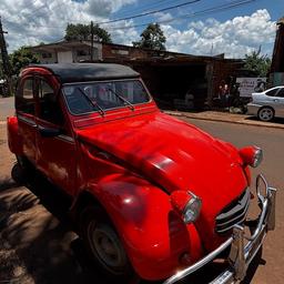 FEDE LOMATO - JUVENIL 