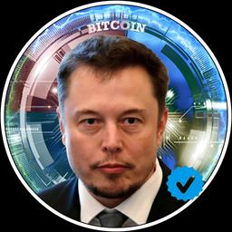 Elon Musk Tesla Trade Signals 