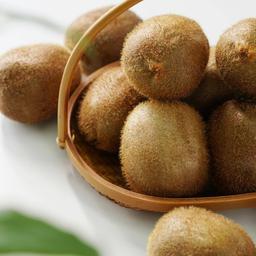 3.12猕猴桃女声02