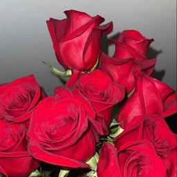 بنت بتكلم عربي