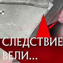  Следствие вели (Диктор)