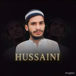 Muhammad Aalim Hussaini 