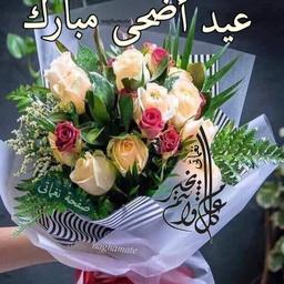 صوت حيدر الخفاجي