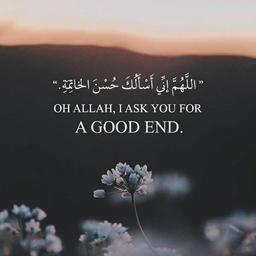 القران الكريم 