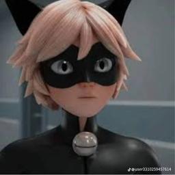 القط الاسود 