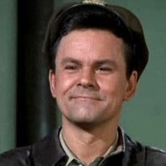 Colonel Hogan From Hogan's Heroes