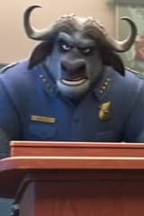 Капитан Бульволсон 