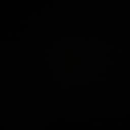 David Lee supercross 