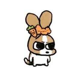 感谢我温哥华的dd哥