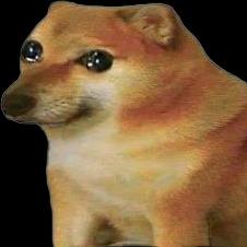 男的，有感情的