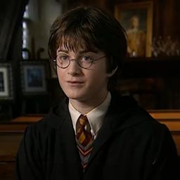 Harry Potter (Chamber of Secrets)