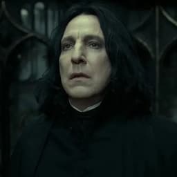 Severus Snape (Alan Rickman Harry Potter)