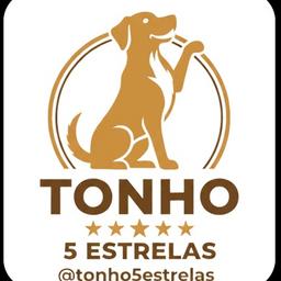 Tonho