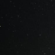 985女的讲话演说家