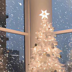 24.12.25用了半辈子的iPhone