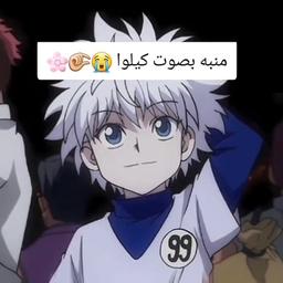 كيلوا زولديك 