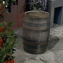 Jorge Gutiérrez Zamora