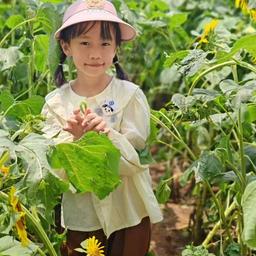 茶知识老茶头1.1-1.3乘务长邓邓音频