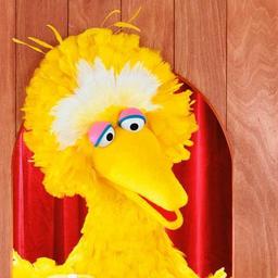 Big Bird
