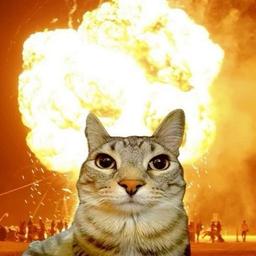 cú ngã triệu đô