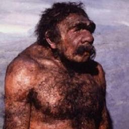 voz do canal guerra antiga 